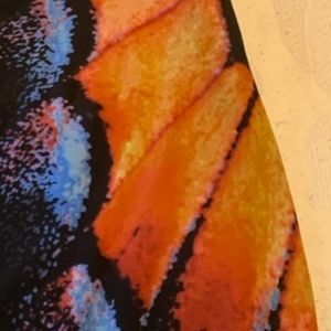 Pretty butterfly dress